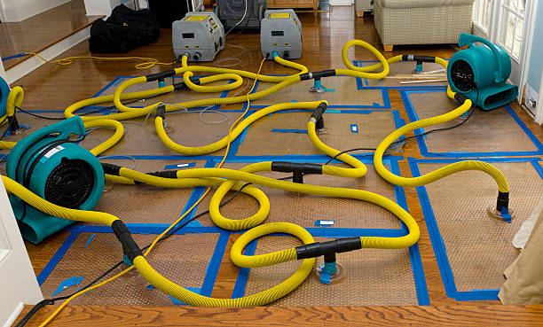 Professional Burst Pipe Water Damage technician working in Sayville, NY